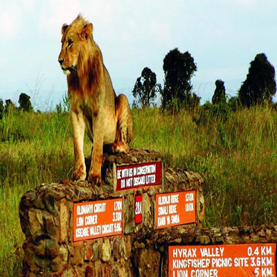 Nairobi Excursions